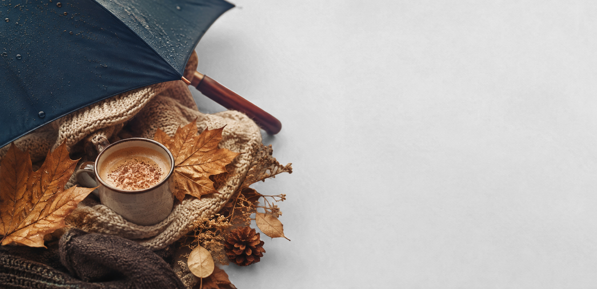 Homepage banner